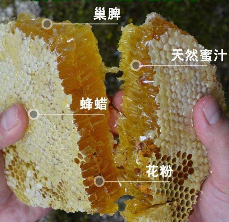 龙眼蜂蜜茘枝蜂蜜土蜂蜜