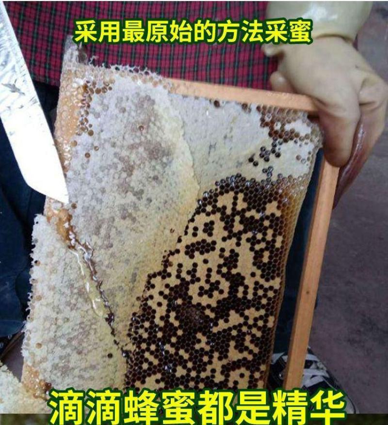 龙眼蜂蜜茘枝蜂蜜土蜂蜜