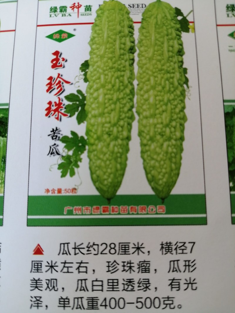 玉珍珠苦瓜，瓜形美观，瓜白黑透绿，有光泽适应市上。