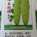 玉珍珠苦瓜，瓜形美观，瓜白黑透绿，有光泽适应市上。