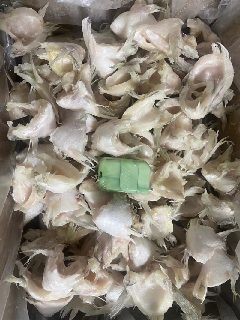 开背鲈鱼，鱼头，承接各类水产品加工定制