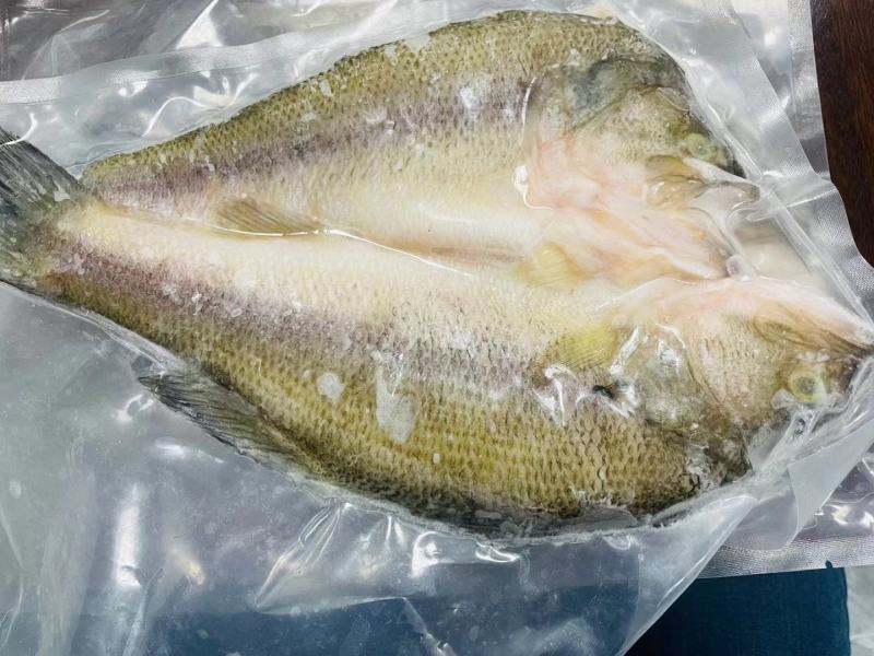 开背鲈鱼，鱼头，承接各类水产品加工定制
