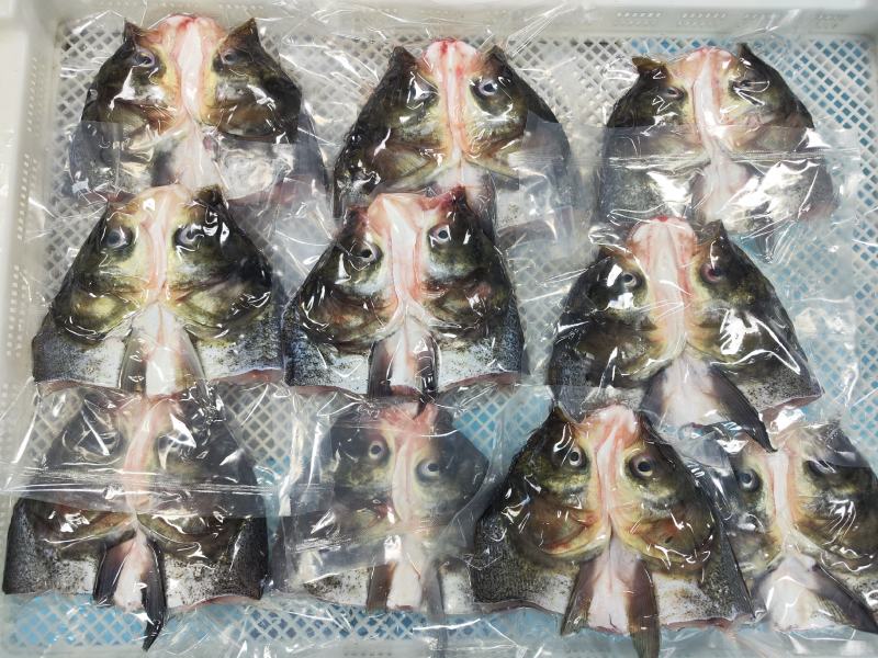 开背鲈鱼，鱼头，承接各类水产品加工定制