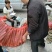 鲜竹笋四川竹笋白夹竹，绿竹笋，班竹笋，楠竹笋，基地直发