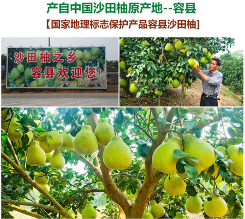 柚子果脯容县柚子皮糖蜜饯果脯传统手工零食柚子糖