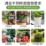 120斤纯羊粪有机肥10半斤鸡粪花肥料种菜30斤果树盆栽