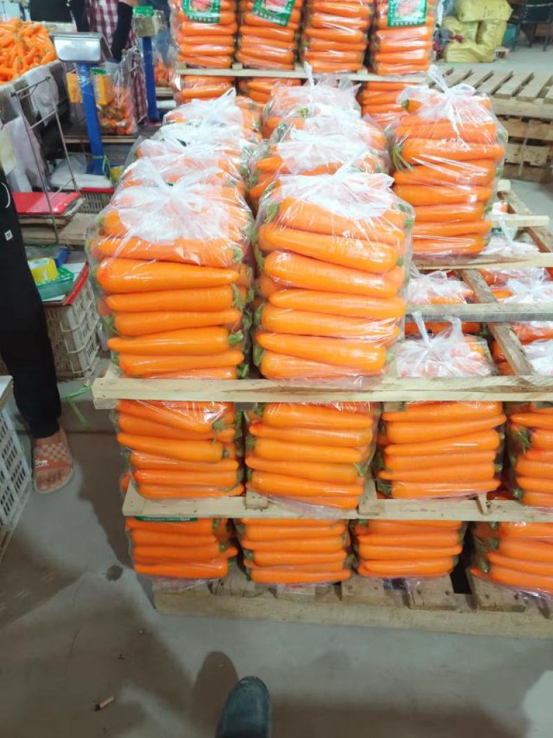 精品胡萝卜