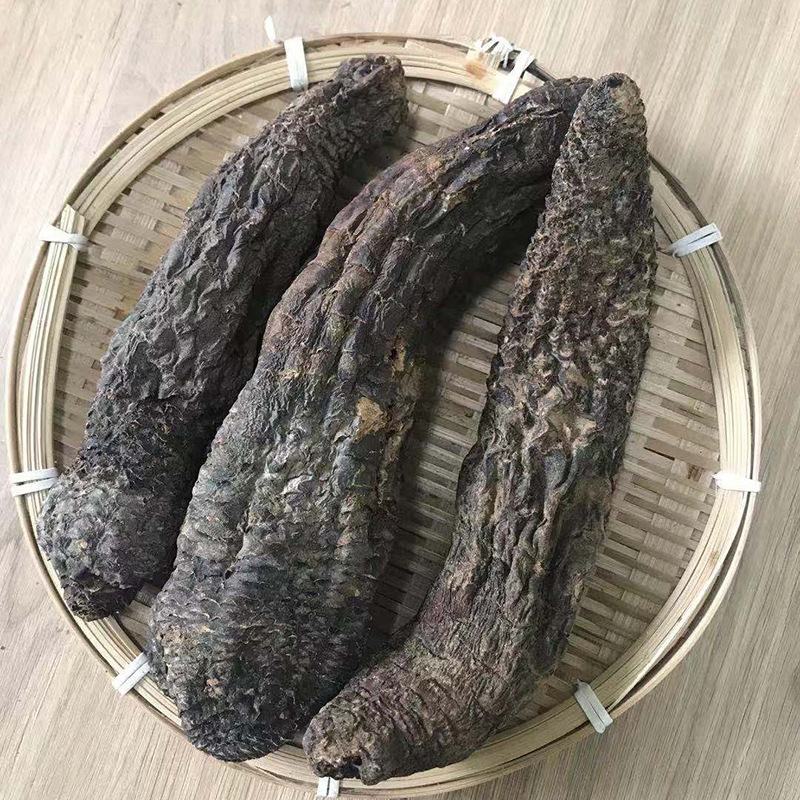 批发现货肉苁蓉沙漠人参新疆特优级软质肉苁蓉甜苁蓉