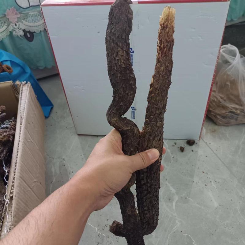 批发现货肉苁蓉沙漠人参新疆特优级软质肉苁蓉甜苁蓉