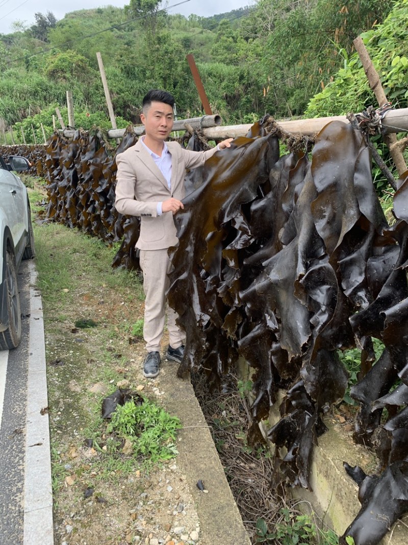 霞浦海带原产地有需要的朋友可以联系我让你拿到真正源头海带