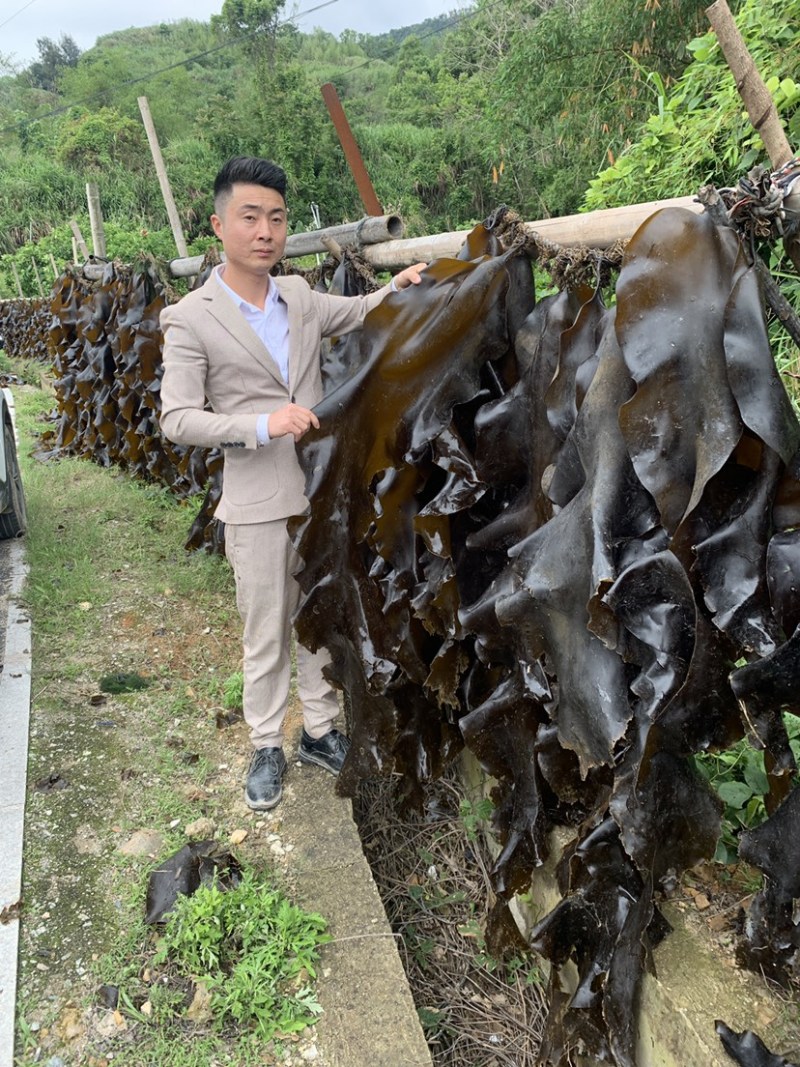 霞浦海带原产地有需要的朋友可以联系我让你拿到真正源头海带