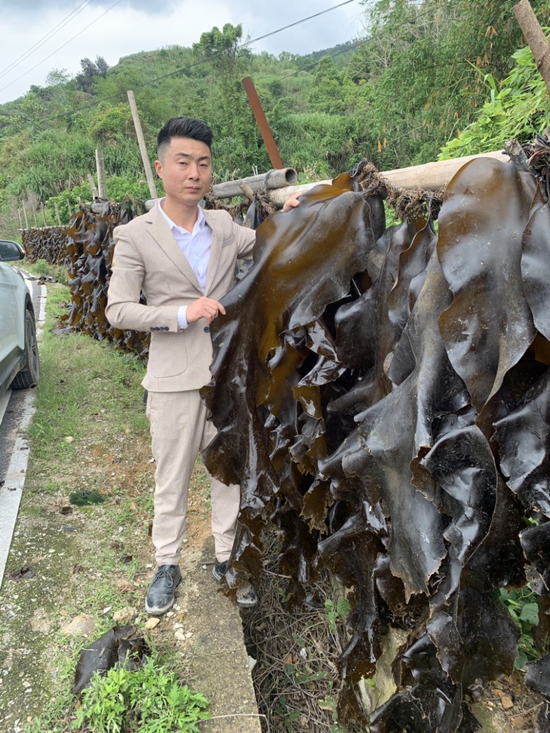 霞浦海带原产地有需要的朋友可以联系我让你拿到真正源头海带