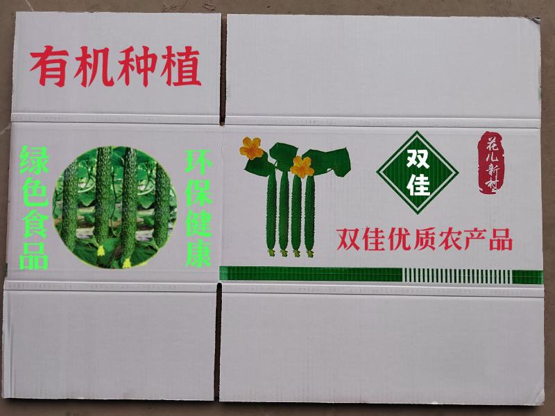 甘肃靖远花儿新村黄瓜代收，产地直发