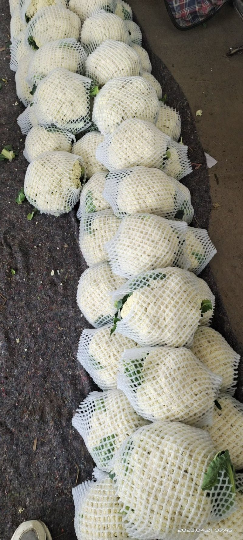 各种蔬菜