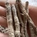 仙茅干货，云南产地野生，超高含量，可发样品