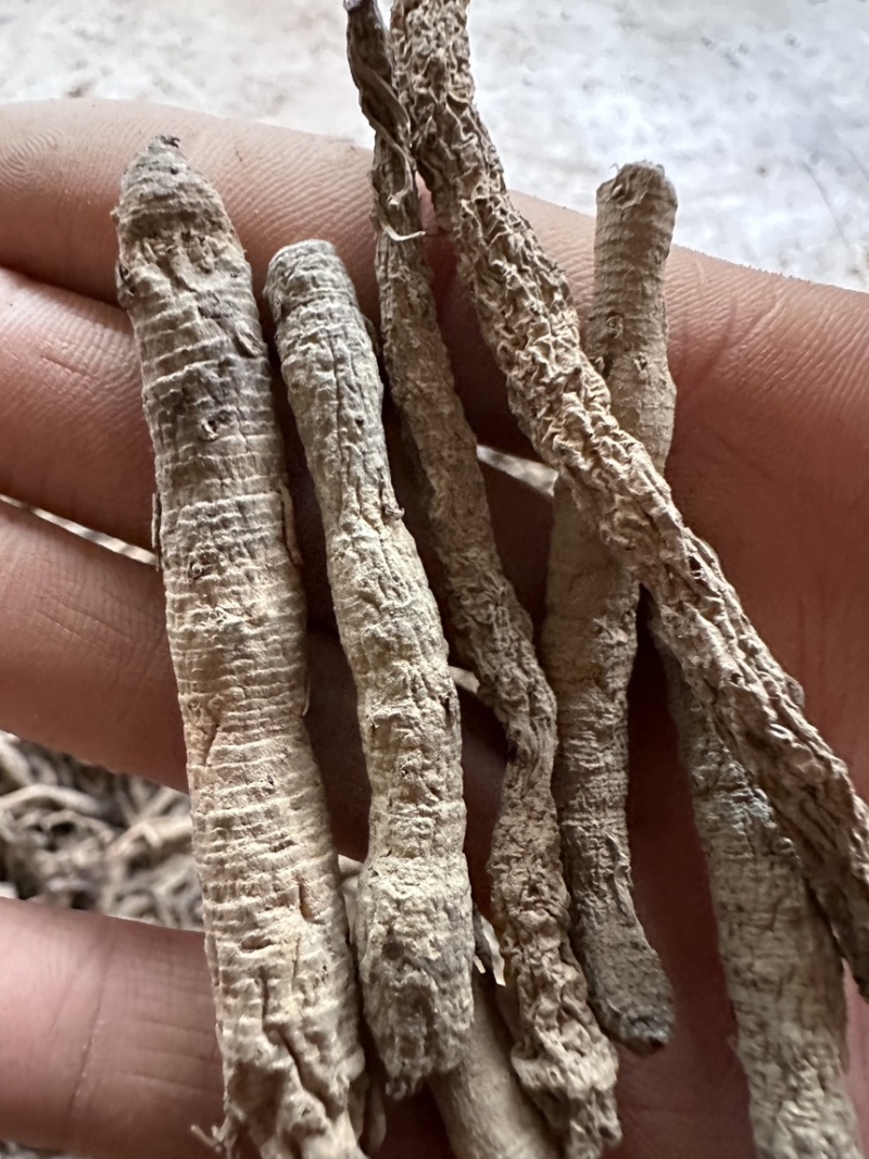 仙茅干货，云南产地野生，超高含量，可发样品