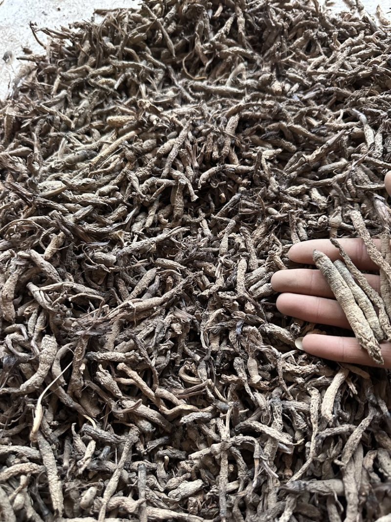 仙茅干货，云南产地野生，超高含量，可发样品