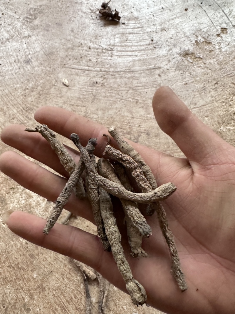 仙茅干货，云南产地野生，超高含量，可发样品