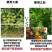 磷酸晶体二铵全水溶肥植物叶面肥花卉通用肥料农作物底肥二铵