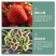 磷酸晶体二铵全水溶肥植物叶面肥花卉通用肥料农作物底肥二铵