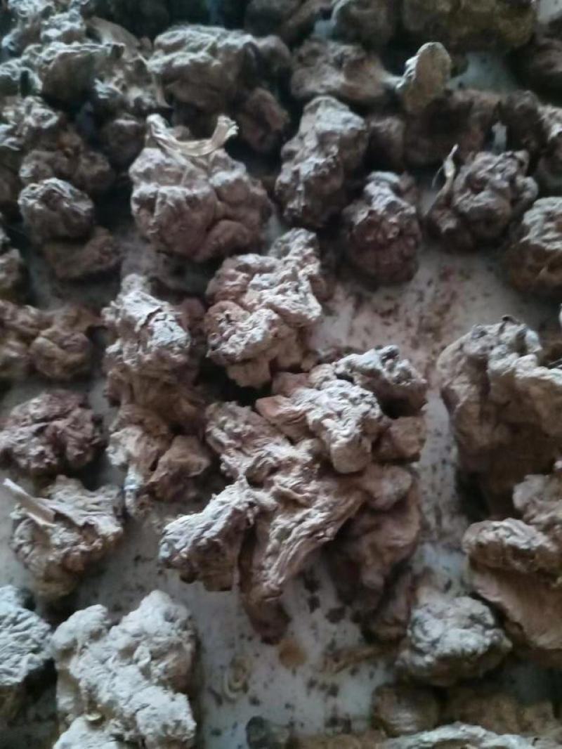 洋姜干货洋姜片洋姜疙子都有洋洋种子也有