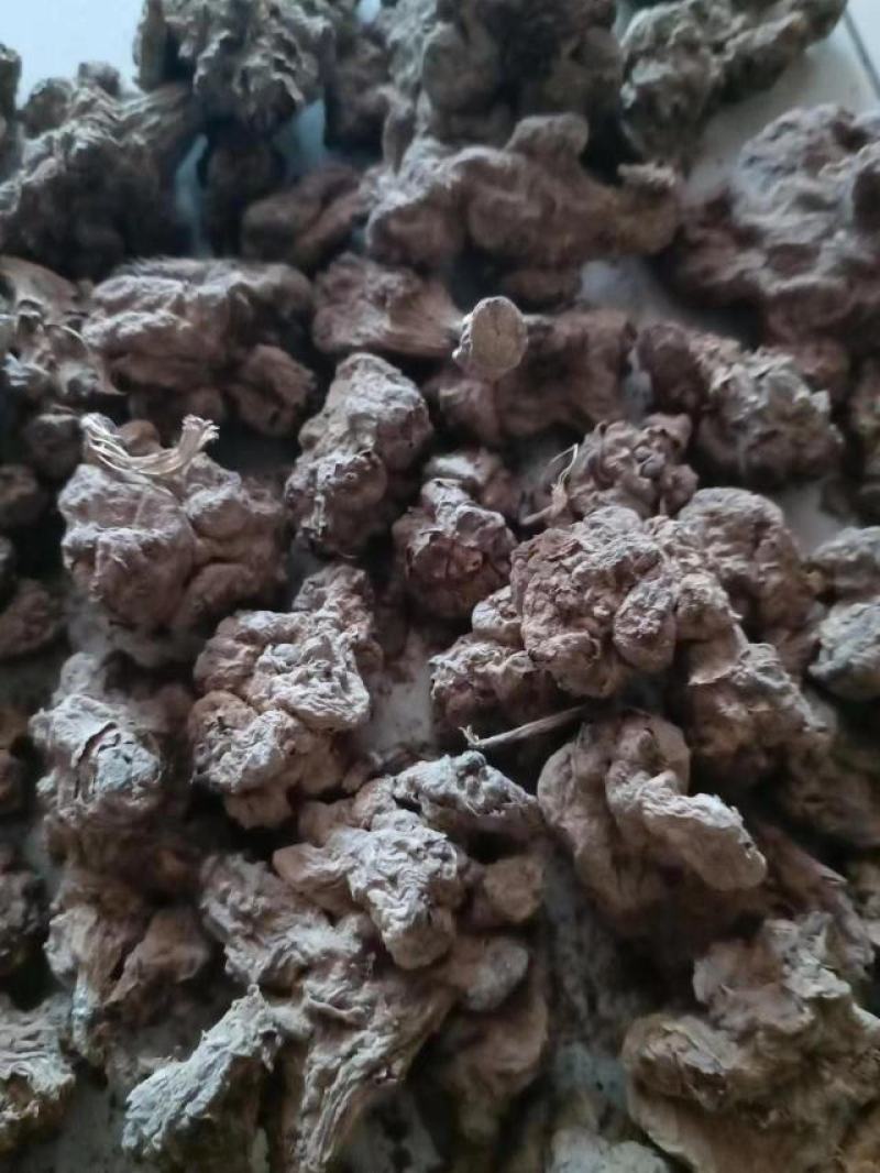 洋姜干货洋姜片洋姜疙子都有洋洋种子也有