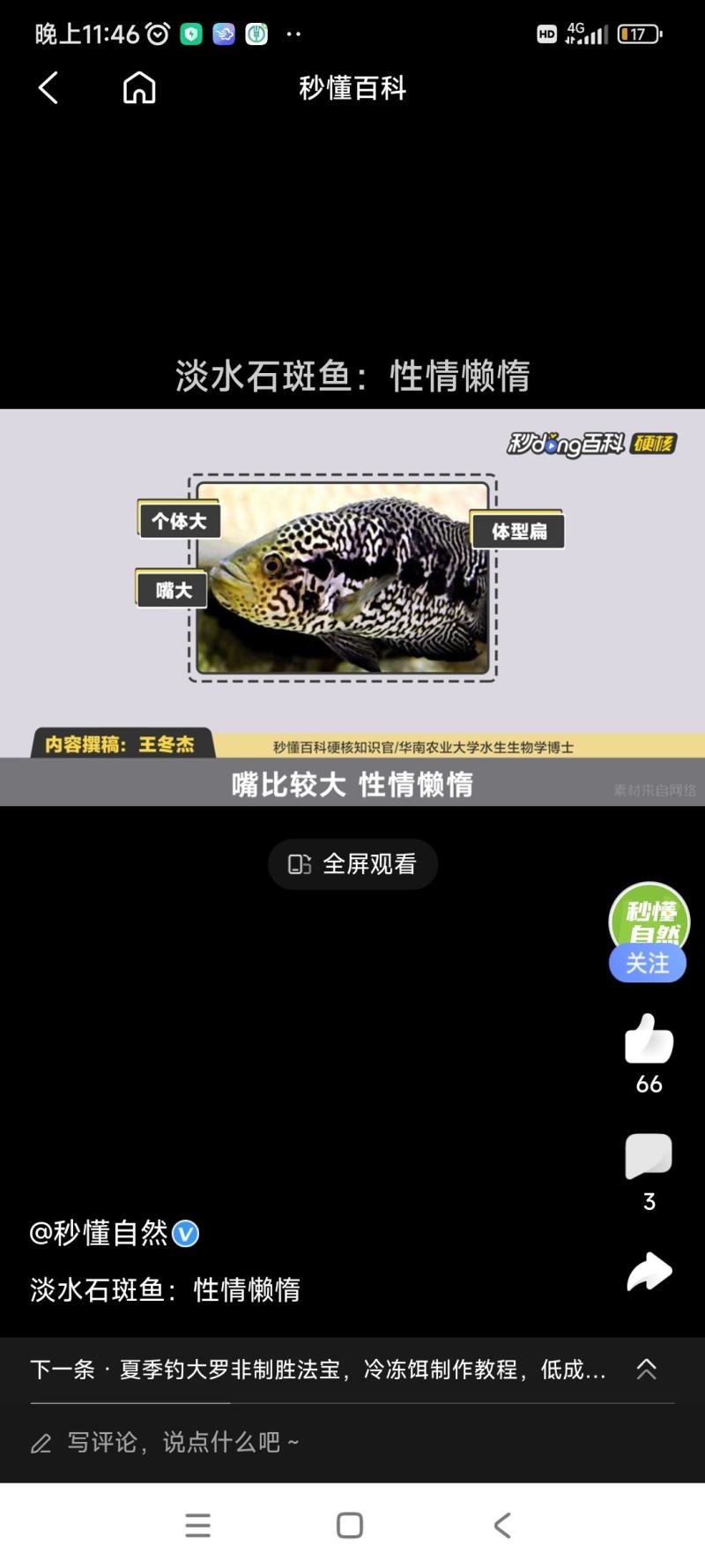海南淡水石斑鱼干\鱼干\河鱼干\开背鱼干\无刺鱼干