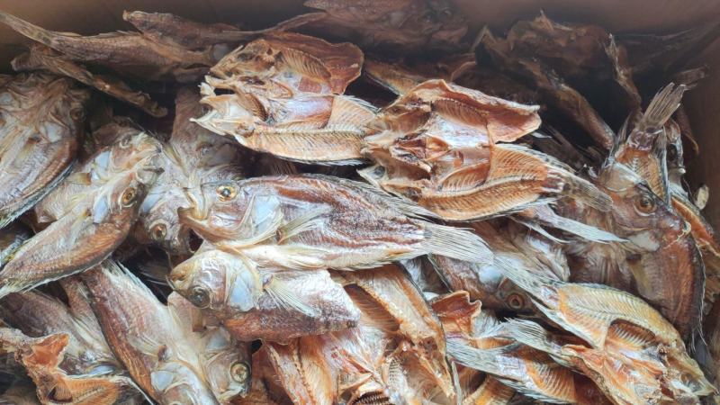 海南淡水石斑鱼干\鱼干\河鱼干\开背鱼干\无刺鱼干