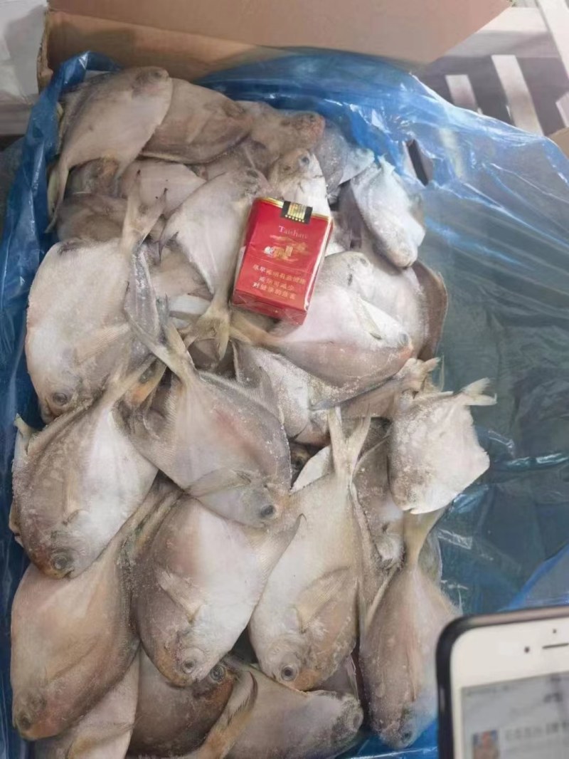 仓鱼