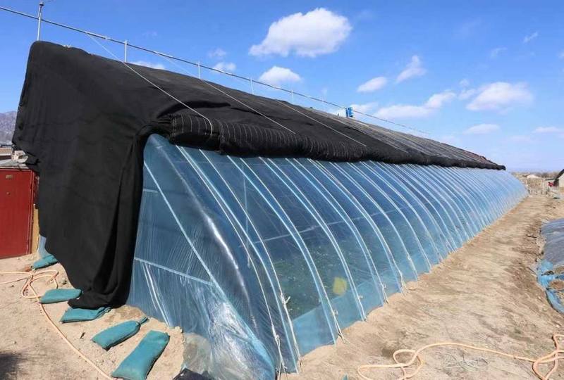 河北蔬菜种植大棚专业温室设计热镀锌钢管保温大棚安装简单