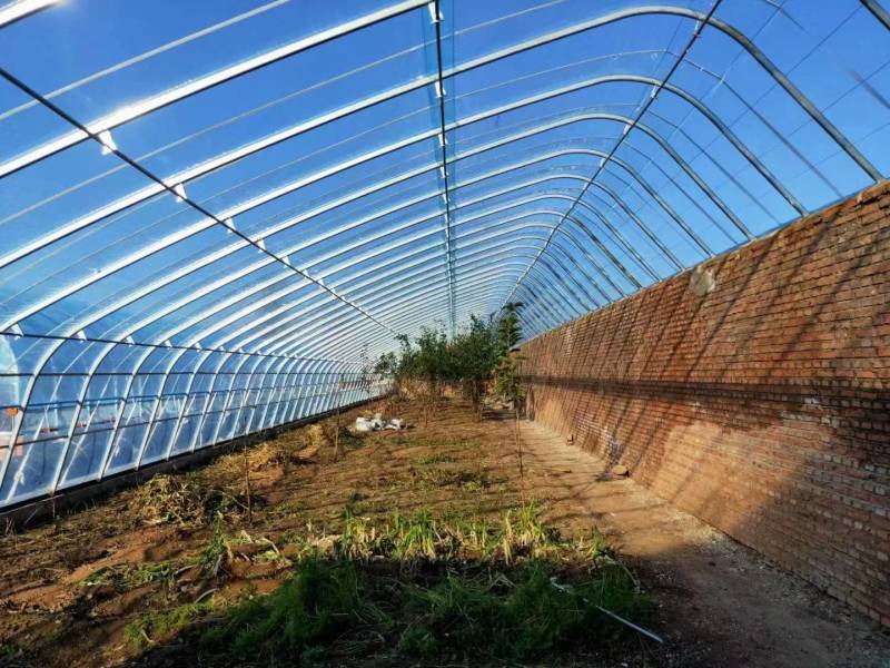 河北蔬菜种植大棚专业温室设计热镀锌钢管保温大棚安装简单