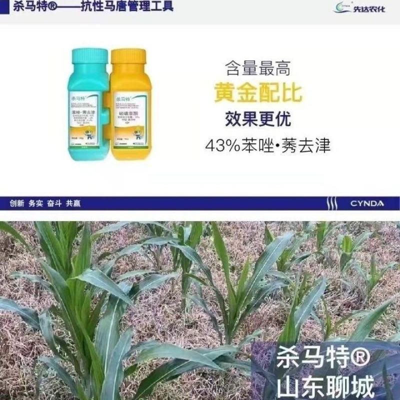 杀马特甜玉米除草剂糯玉米除草剂水果玉米除草剂