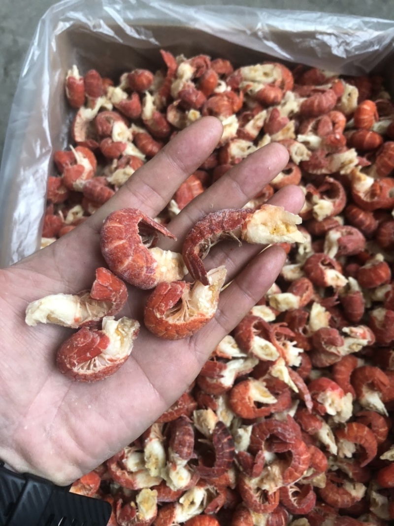 产地一级干冰氮冻龙虾尾适用于餐饮，终端批发零售