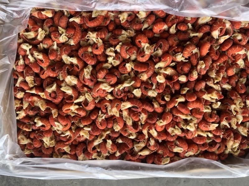 产地一级干冰氮冻龙虾尾适用于餐饮，终端批发零售