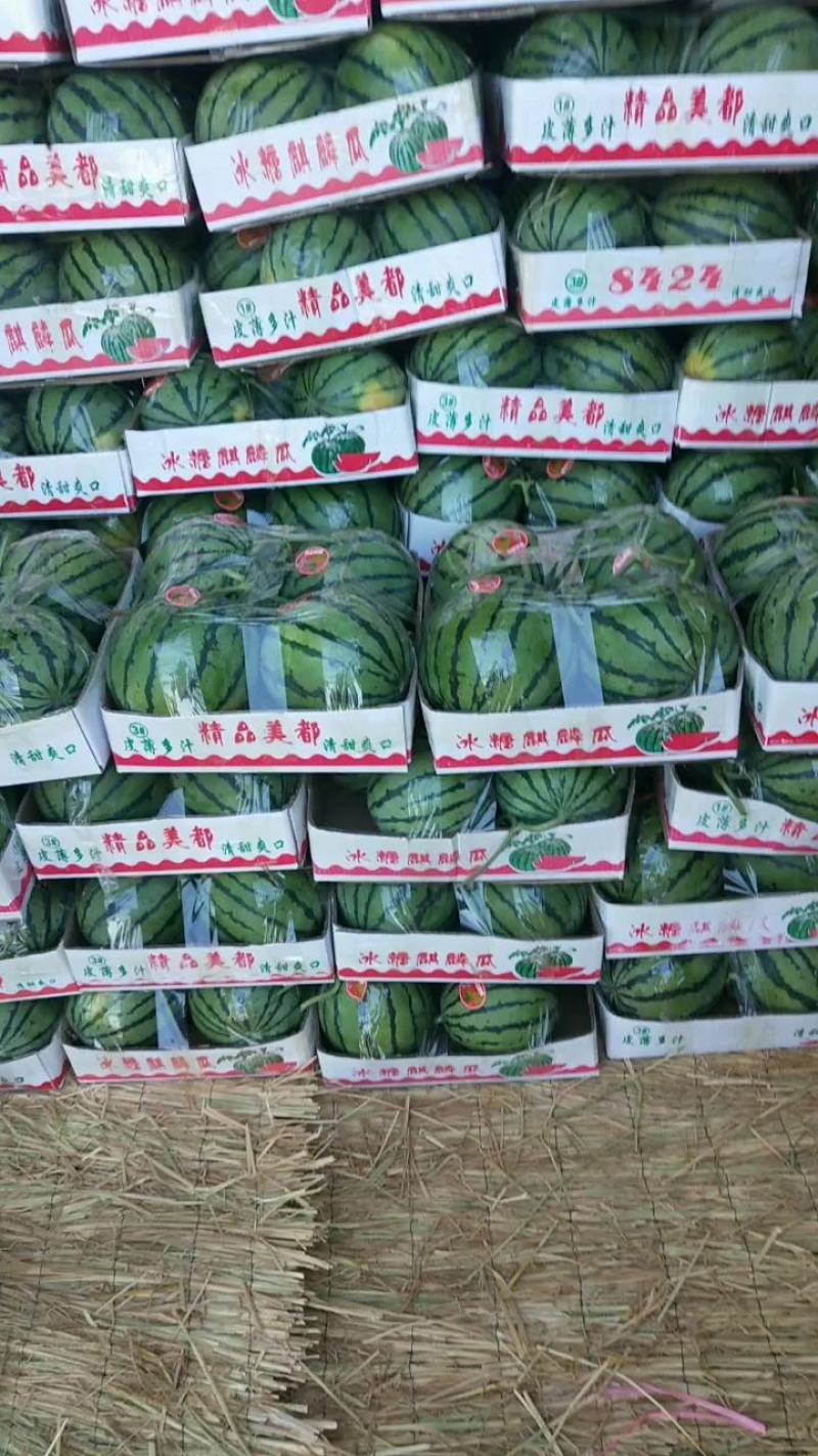 河南头茬无籽美都/麒麟西瓜/电商货/市场货/产地直供
