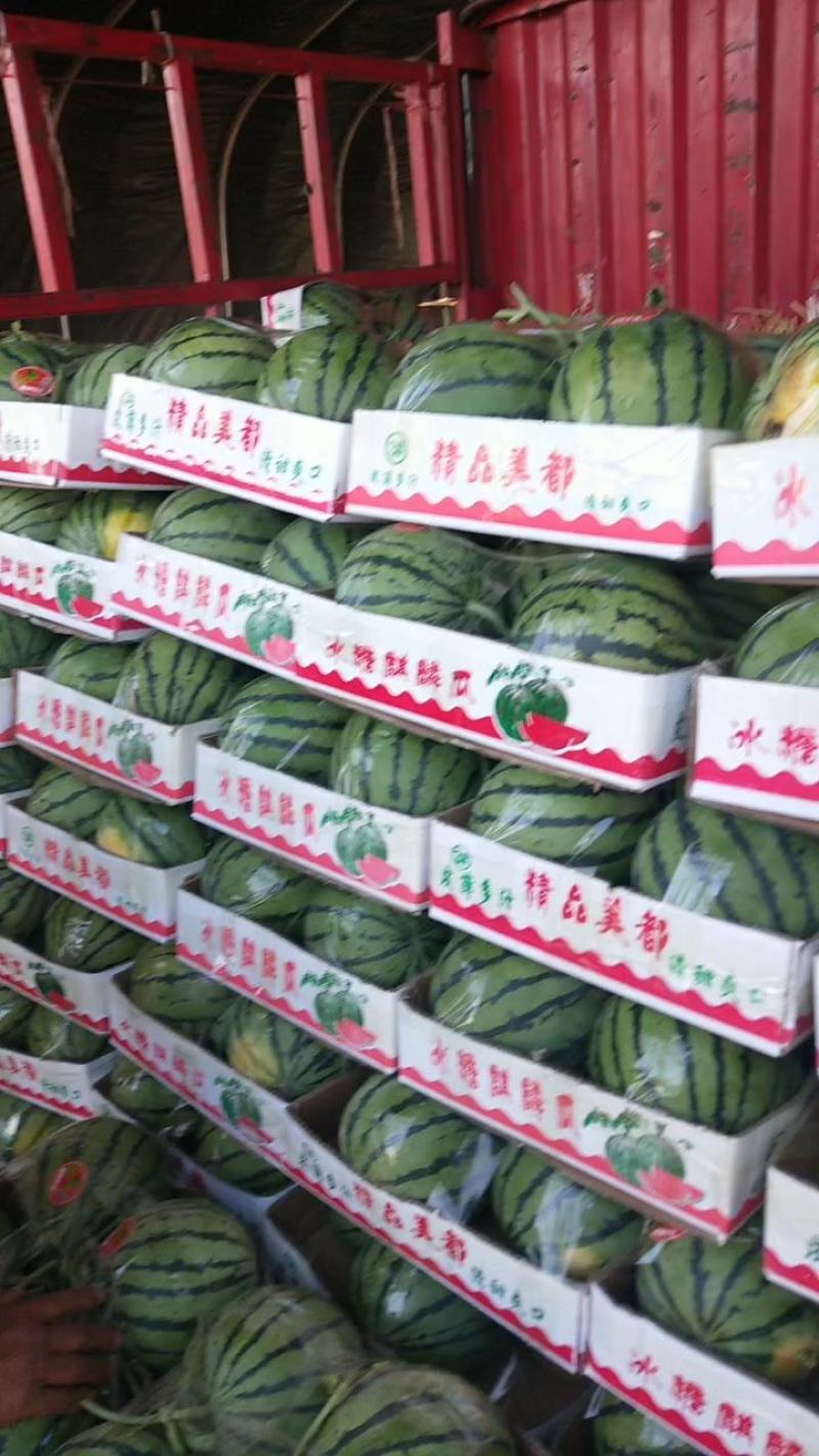 河南头茬无籽美都/麒麟西瓜/电商货/市场货/产地直供