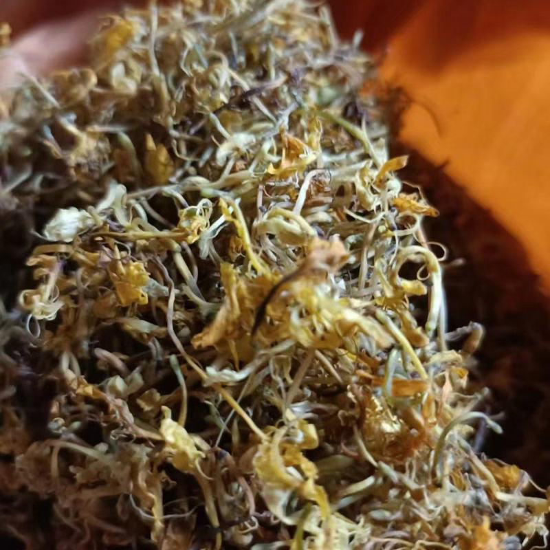 贵州金银花新货已经出来了