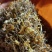 贵州金银花新货已经出来了
