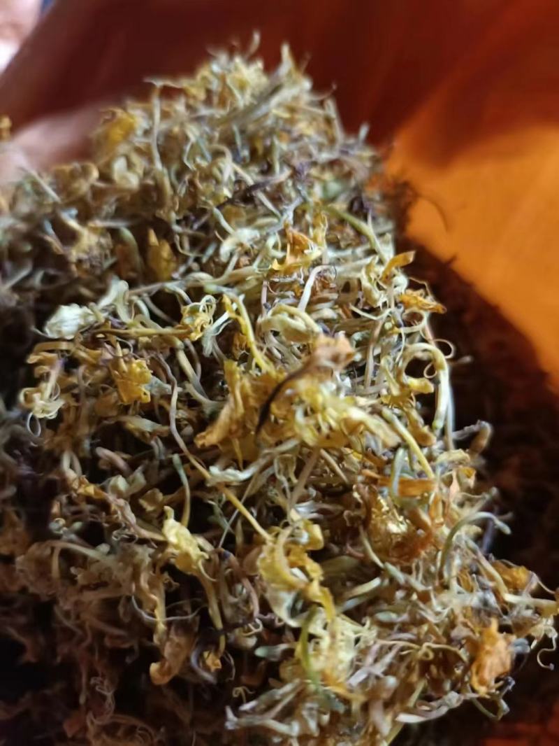 贵州金银花新货已经出来了
