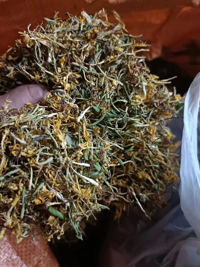 贵州金银花新货已经出来了