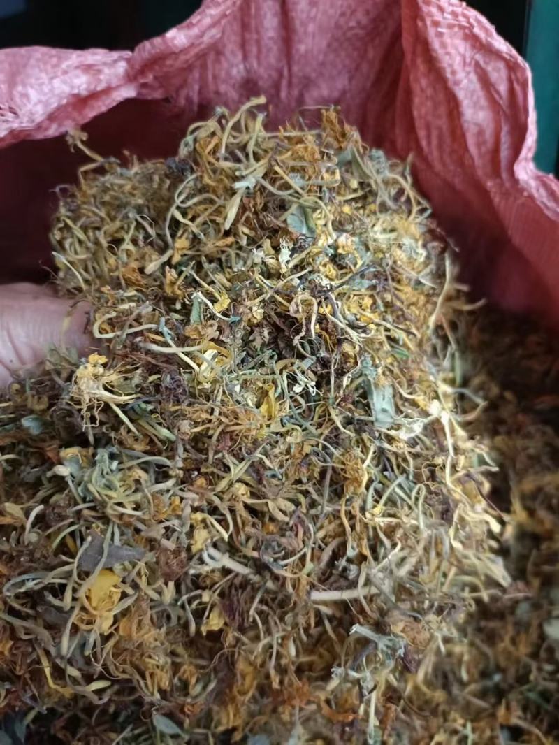贵州金银花新货已经出来了