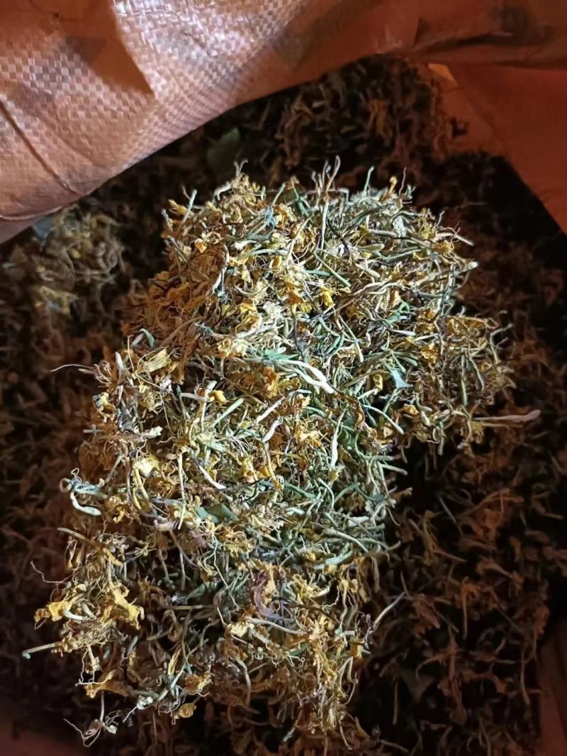 贵州金银花新货已经出来了