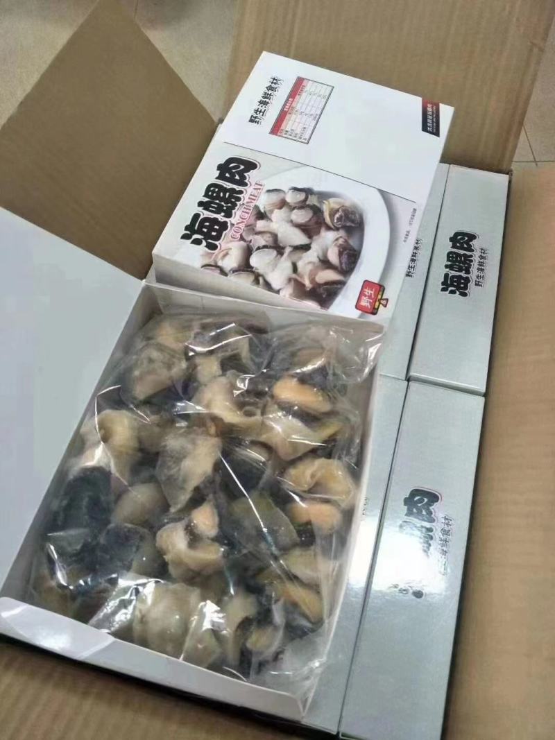 海螺肉工厂直发一手货源量大从优欢迎采购下单