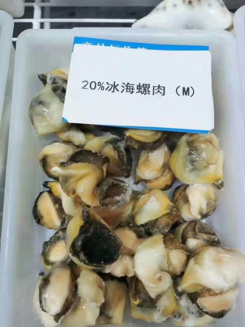 海螺肉工厂直发一手货源量大从优欢迎采购下单