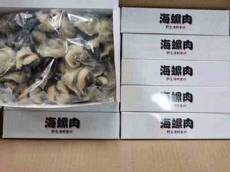 海螺肉工厂直发一手货源量大从优欢迎采购下单