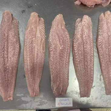 巴沙鱼原料，