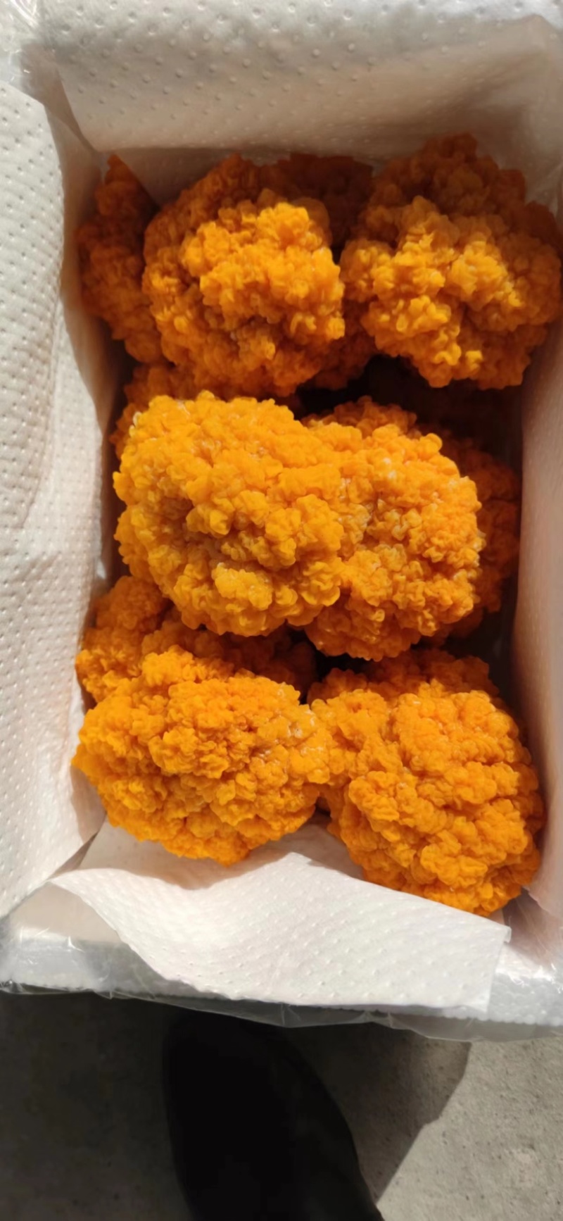 金耳菌包，大量供应不需要泡发直接炖煮，新鲜金耳菌包