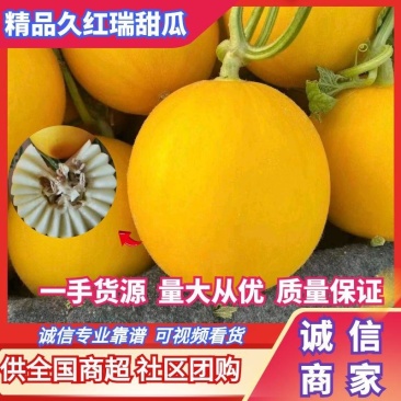 山东聊城久红瑞甜瓜，产地直供，一手货源电商超市全国发货
