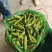 精品甘兰，牛心菜，蚕豆大量上市欢迎来采购。
