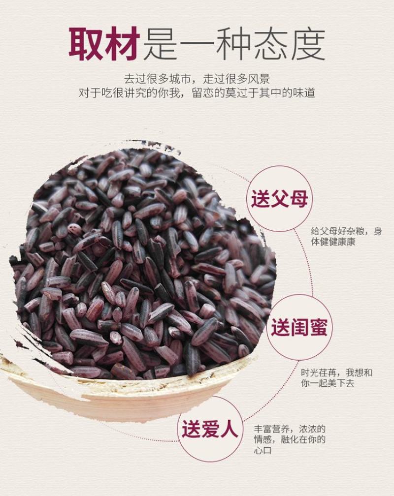 紫米批发云南墨江紫米新货五谷杂粮紫糯米血糯米